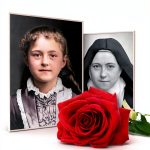 Mariology Kindle Book Amazon 110 Page Guide-0